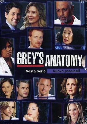 GREY'S ANATOMY - ST.06 6DVD COFANETTO SERIE-TV - Foto 1 di 1