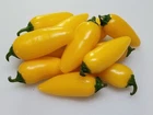 25 LEMON SPICE JALAPENO PEPPER SEEDS ~ heirloomseedguy ~ 2026 ~ NON-GMO