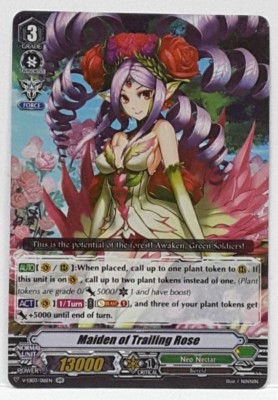 Bushiroad Cardfight Vanguard Maiden Von Steckdose Rose V-EB03/016EN RR n-Mint
