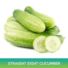 Cucumber Straight Eight Seeds
