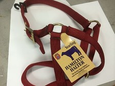 Hamilton Yearling 1" Turn Out Halter in Red 30DY RD 8322H005 Brand New