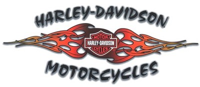 Aufkleber Harley-Davidson Flammen Design 30 x14 cm Flaming Webs Decal Tank XXL