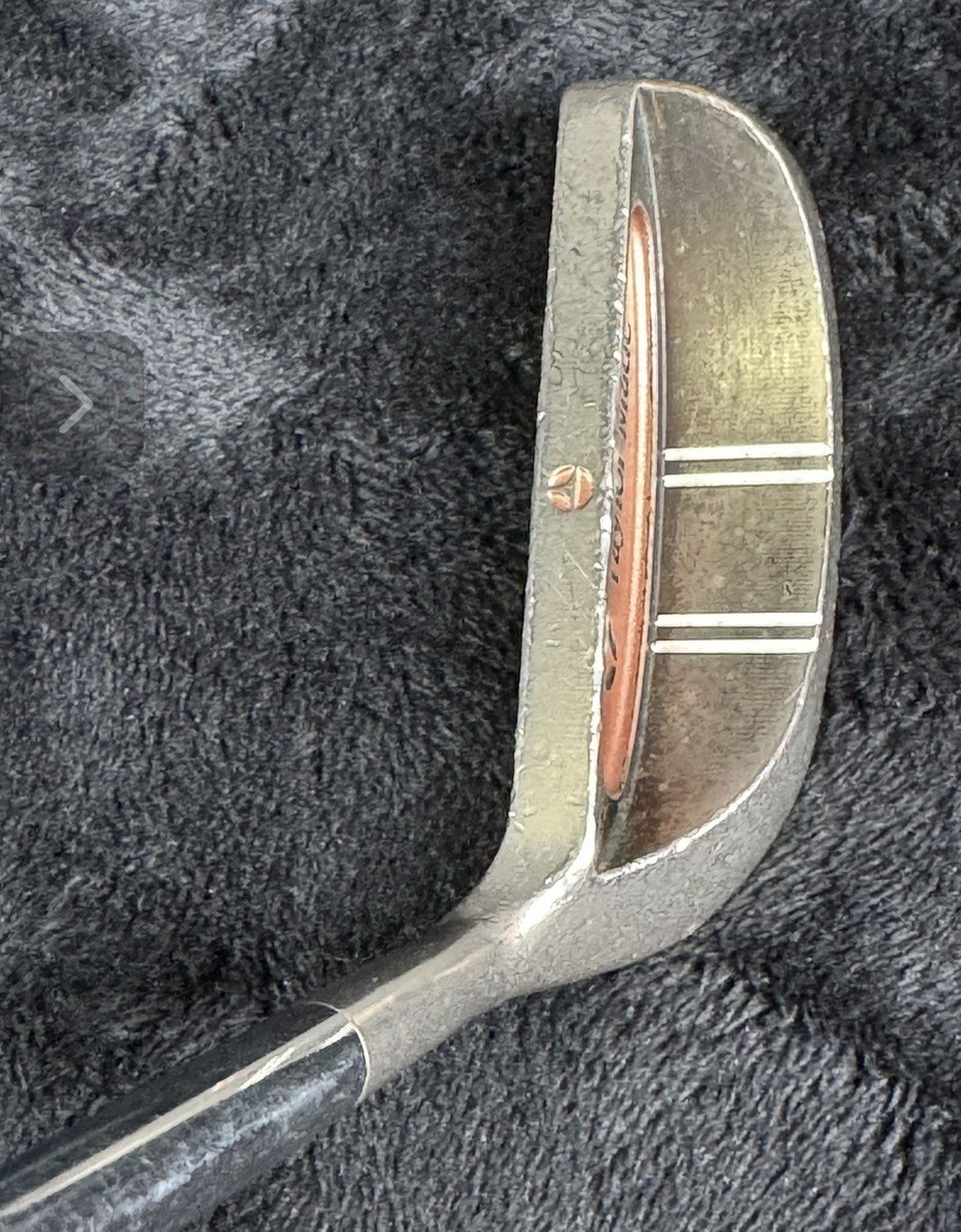 TaylorMade - TaylorMade M6UT たけぞー TaylorMade Men's Spider ZT Putter | TGW.com
