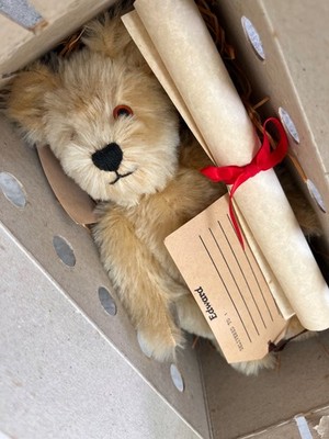 Seltener großer Softies of Yorkshire Little Edward Mohair Bär mit Box und Zertifikat