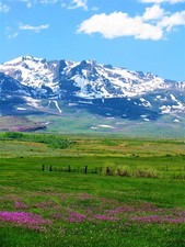 0.13 AC~WHITE PINE CO, NEVADA~GORGEOUS LAND NEAR UTAH~WILDLIFE~GOLD /SILVER~CASH