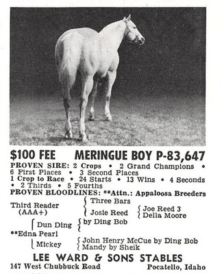Lee Ward & Sons Stables Meringue Boy Stud Service Pocatello Idaho Vtg Mag Cutout