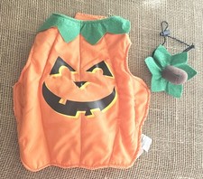 Jack O Lantern Pumpkin Dog Costume Small 10.5" Length