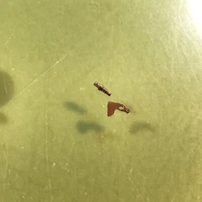 AS Cal. 970 Setting Lever W/ Screw Original Part / 3D4-579