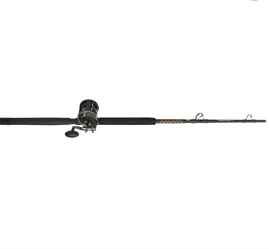 PENN 6'6" Squall II Level Wind Saltwater Rod and Reel Fishing Combo,Black/Gold