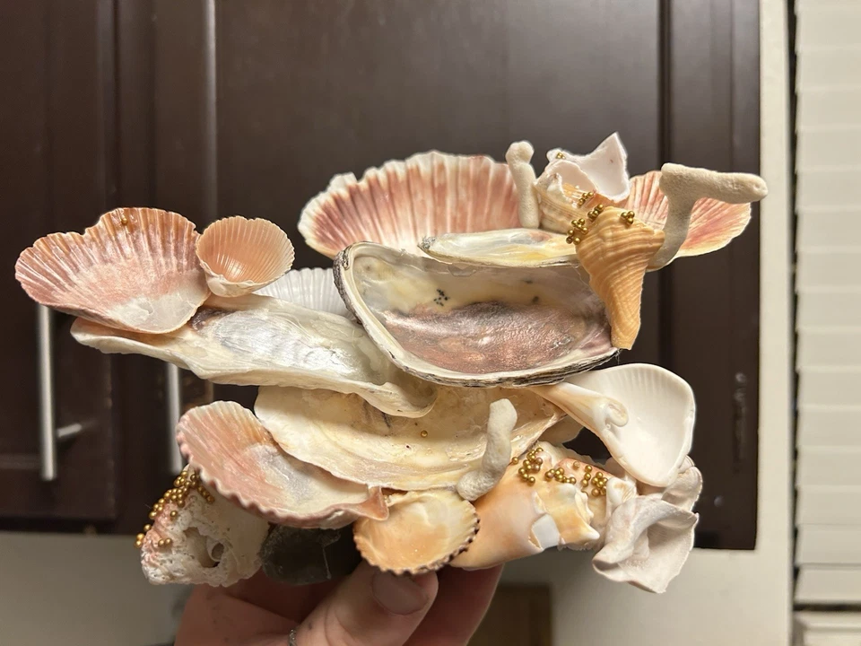 Soporte para joyas Seashell único en su tipo hecho a mano para anillos collares etc. Foto 3 de 4