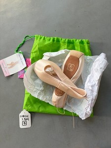 Gaynor Minden Pointe Shoes | eBay