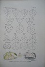 Bild 10 von 10