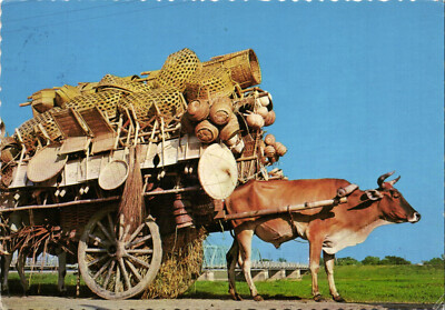 PC PHILIPPINES, BULL CART, Modern Postcard (b43080)