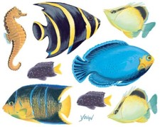 Tatouage Dry Rub Transfer Tropical Fish Border