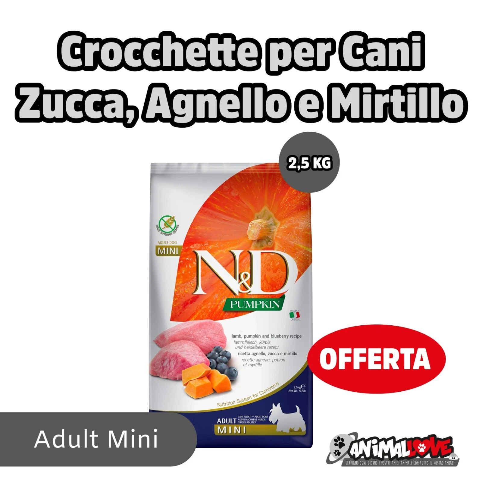 Foto 1 di 6