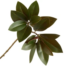 Factory Direct Craft Artificial Magnolia Leaf Spray | for Indoor Decor | 26