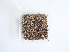 Orologiai lotto misto di corone e steli per orologi da polso vintage. Ricambi