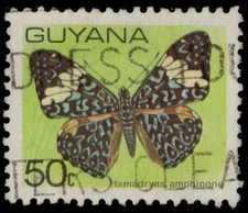 GUYANA 286 (SG705) - Red Cracker Butterfly "Hamadryas amphione" (pc37867)