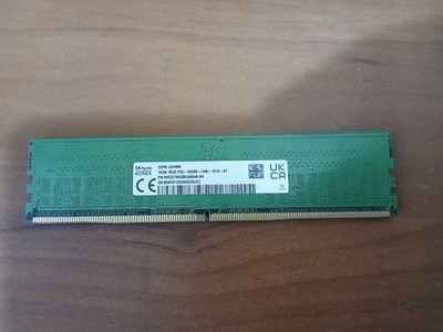 1x16GB SK Hynix DDR5-5600 RAM Desktop Memory UDIMM (HMCG78AGBUA084N)