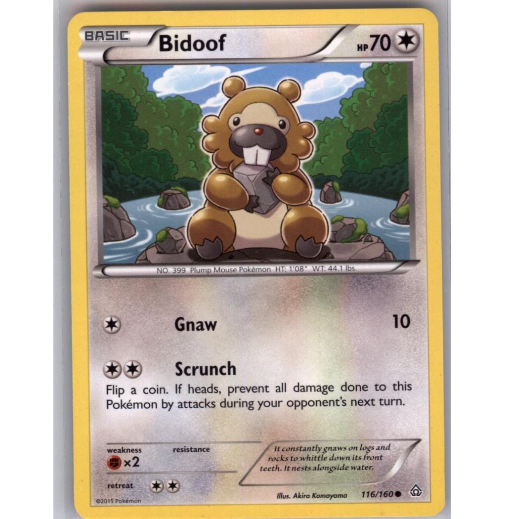 Bidoof Regular Common XY - Primal Clash 116/160 NM