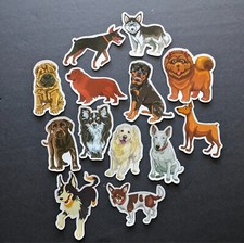 Dog Stickers, Pet Stickers, Dog Lover Stickers