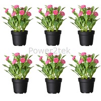 6 X Ikea Fejka Artificial Plastic Potted Plant Common Daisy Flower Pink Home 6 X Ikea Fejka Artificial Plastic Potted Plant Common Daisy Flower Pink Home