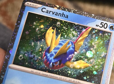 いきものがかりのおうえんがかり　カード　Tahara いきものがかりのおうえんがかり カード Tahara