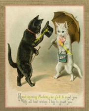 Vintage 1928 GREETINGS TO YOU 8x10 Postcard cat kitten Art Print picture