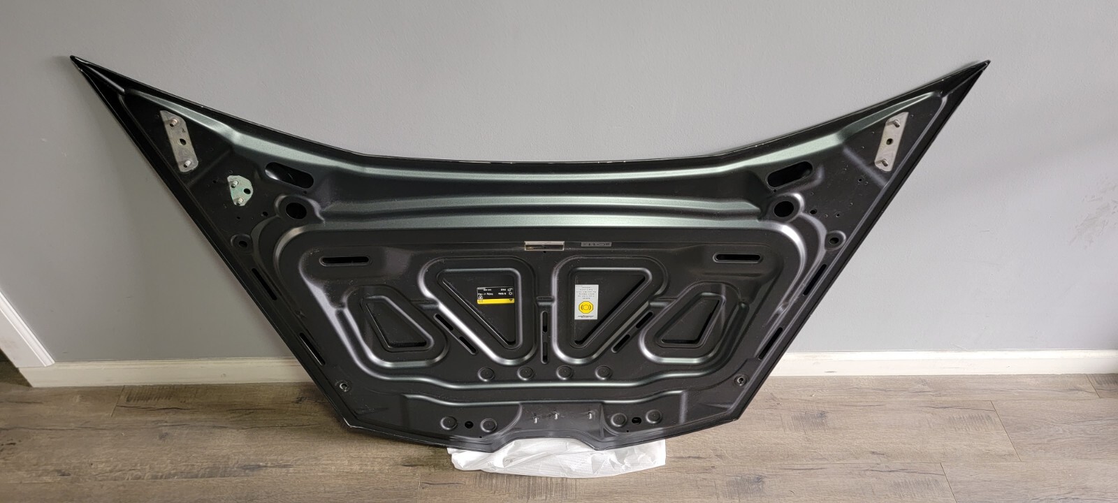 LAMBORGHINI HURACAN LP610 LP580 PERFORMANTE FRONT HOOD OEM 4T0823021C GRAY COLOR