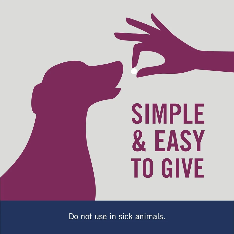 7 Way De-Wormer for Dogs, Oral Treatment for Tapeworm, Roundworm & Hookworm in L - Image 4 of 4