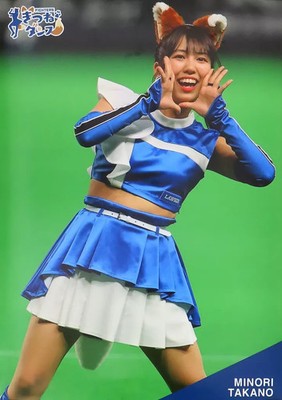 Hokkaido Nippon Ham Fighters Girl 2023 A2 Poster Minoru Takano Poster