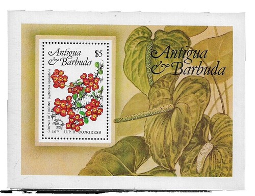 Soviet Union 1981 Stamps - Complete Set 5074-5078 Flowers Of Ukrainian Carpathian MNH (Mint Never Hinged) For Collectors