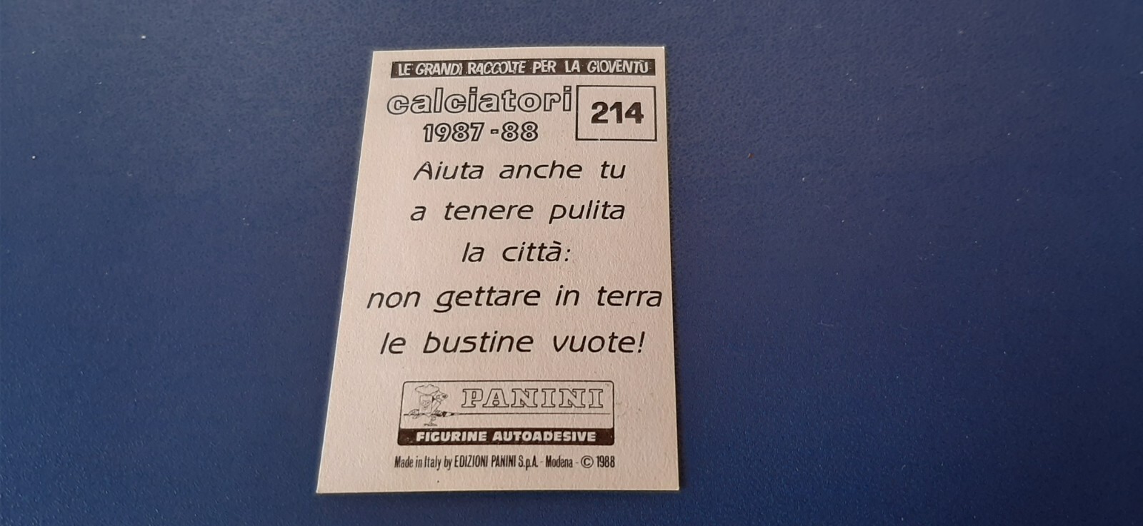Imagen 173 de 263