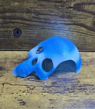 Small 3D Glacier Tarantula Skull Hide
