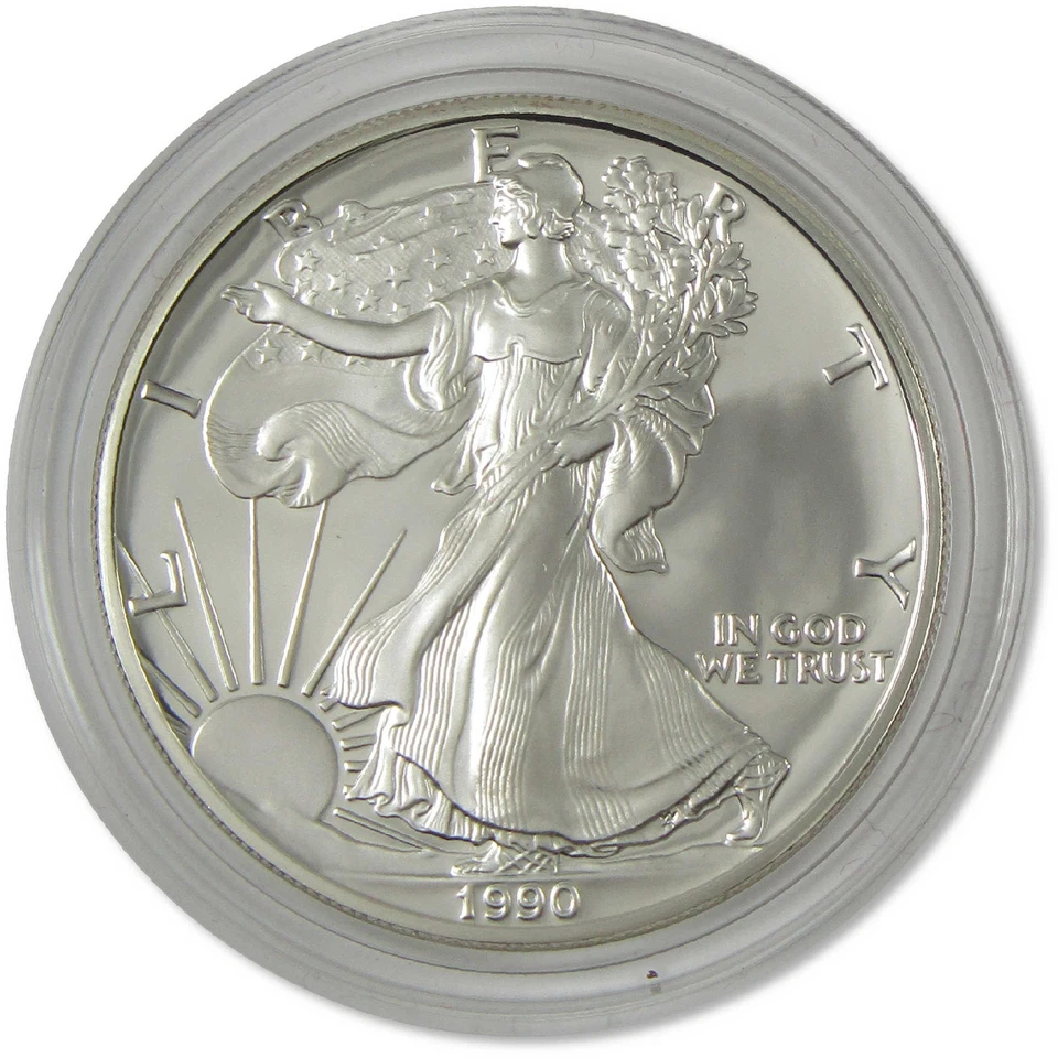 Moneda de 1 dólar S American Silver Eagle Choice Proof 1990 certificado de autenticidad OGP Foto 2 de 3