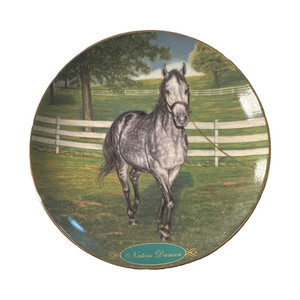Native Dancer Legendary Racehorses Collection Porcelain Collector Plate