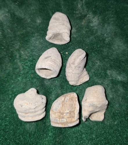 Lot Of 6 Confederate .69 Caliber Carcano Bullets - Fired - Battle Of New Bern NC