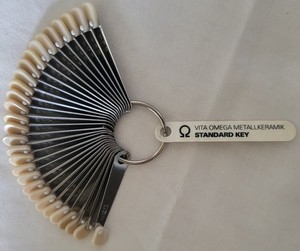 VITA Omega Metallkeramik shade guide standard key ring,  29 porcelain shade tabs