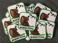 15 Pcs BEAVER FEVER I&rsquo;ve Got It! Adult Humor Sex Embroidered Iron-On Patches