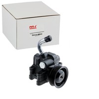 NTY Servopumpe Hydraulisch Passend FüR Ford Fiesta Fusion Mazda 2 | SPW-FR-017