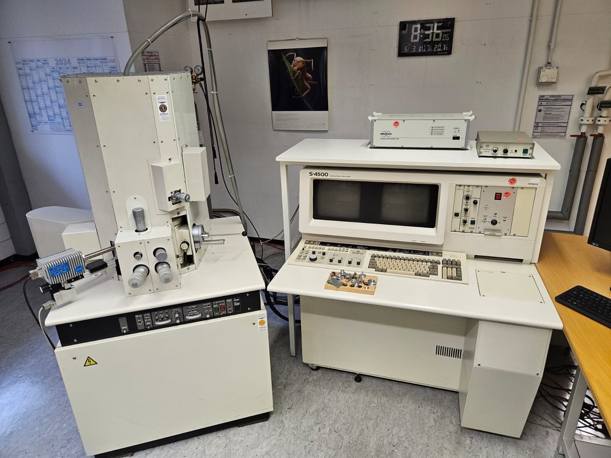 Hitachi S-4500 , Scanning electron microscope with Bruker X-Flash