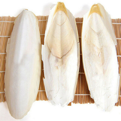 10/20PCS Cuttlebone Cuttlefish Bone Sepia Cuttle Fish Pet Bird Food calcium Set-