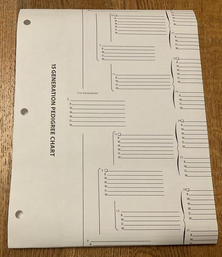 Leere Genealogie Form für Familiengeschichte TreeSeek® 15 Generation Stammbaum Tabelle - Bild 5 von 5