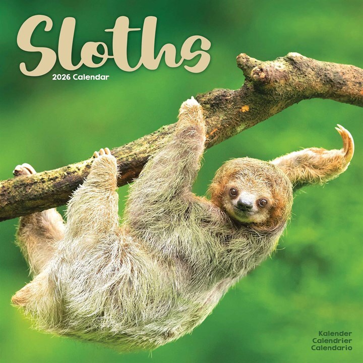 Calendario Sloth Otter House 2026