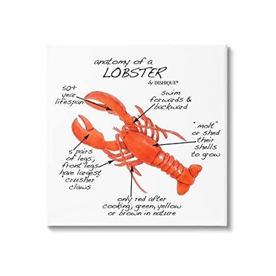 Lobster Anatomy Nautical Sea Life Learning Chart, Design by Dishique