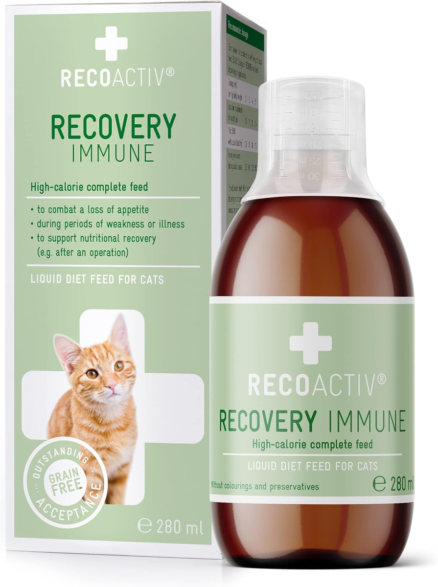 Pandion Tasche Business Laptop Bag Laptoptasche Joop JOOP