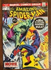 AMAZING SPIDER-MAN #120 comic from 1973...VF-....HULK...$110 VALUE...ONLY $24.95