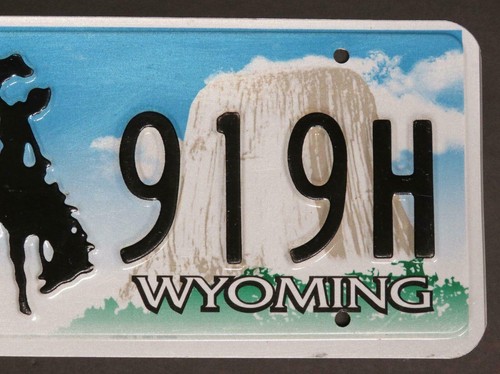 Einzelnes Wyoming Nummernschild 5 919H geprägt - Bucking Bronco - Cowboy - Bild 3 von 5