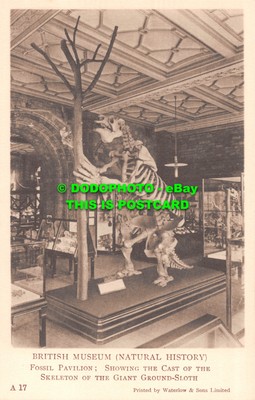 fossil store pavilion