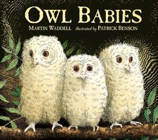 Owl Babies by MARTIN WADDELL